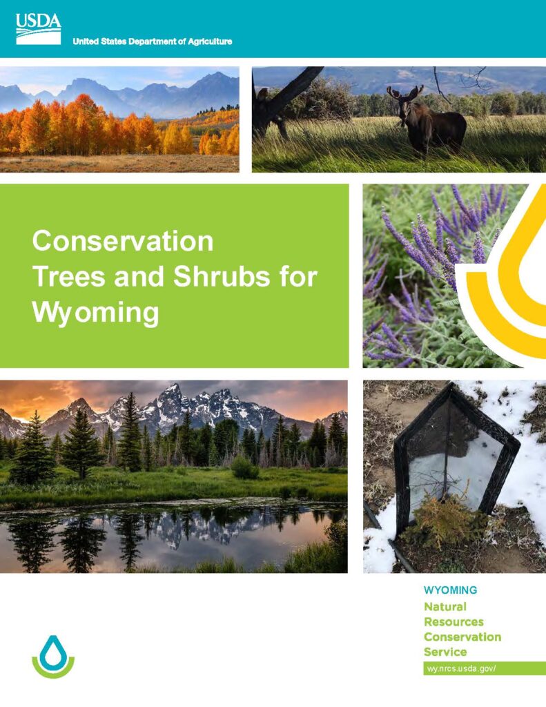 WY NRCS Conservation Trees for Wyoming