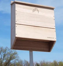 Bat box