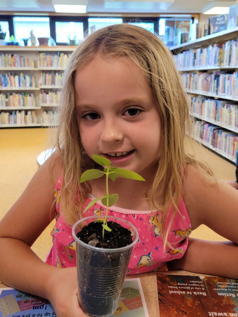 Weston County Children's Library Pollinator Program - a child holding lemon basil seedlings