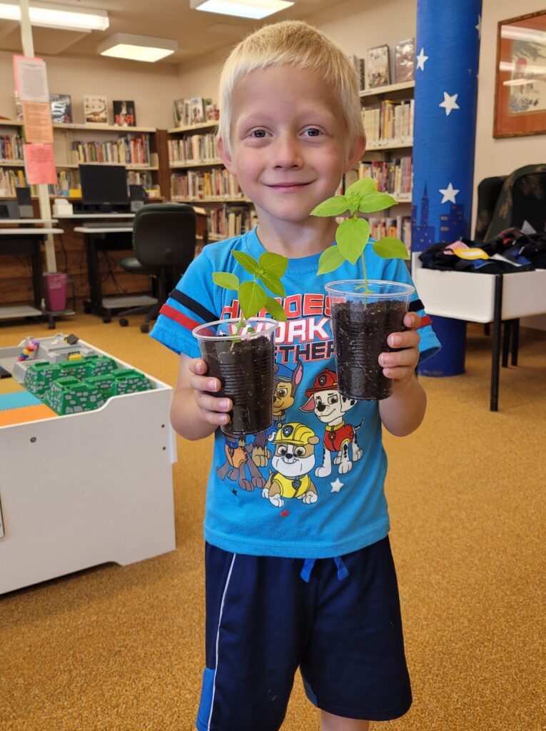 Weston County Children's Library Pollinator Program - a child holding lemon basil seedlings