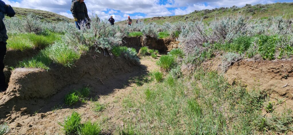 Before image of project site - headcut erosion