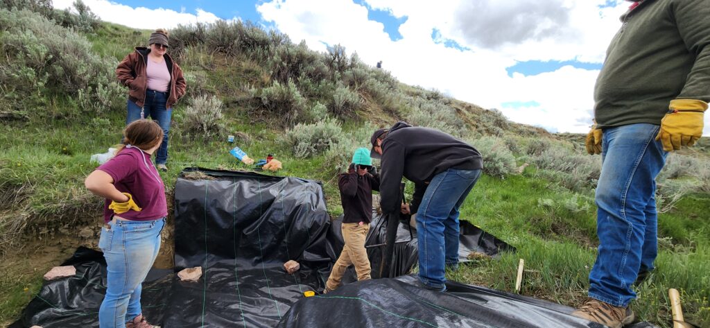 Laying the fabric - log and fabric structure
