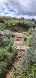 Zuni bowl and one rock dam