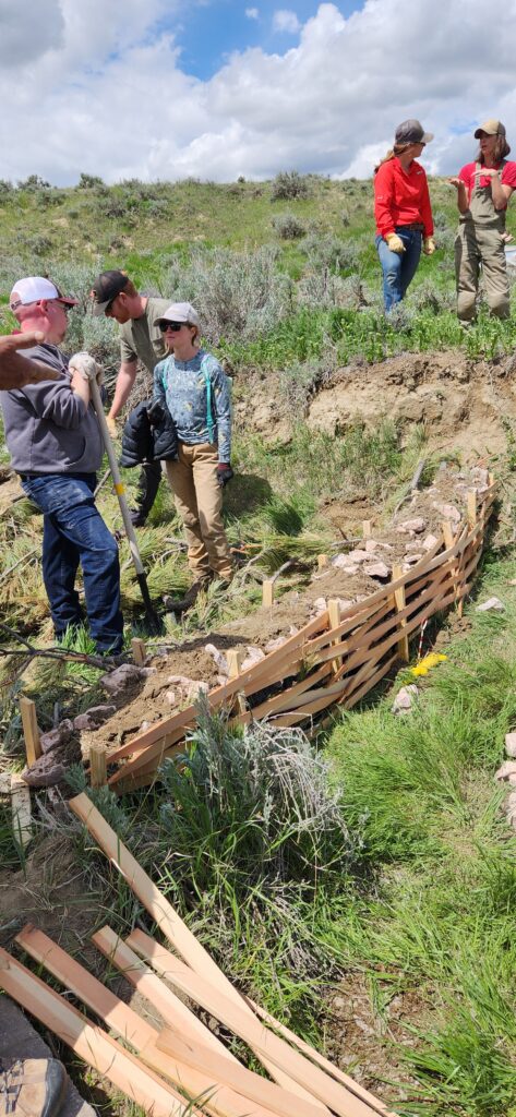 Using a skidsteer to create a slope on the downhill side of a rock core wicker weir, to control the grade below a log and fabric structure