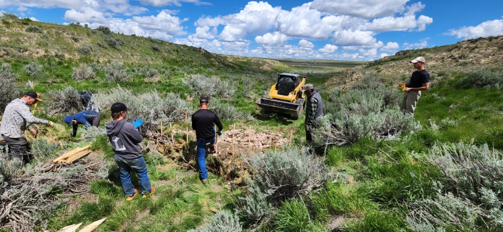 Using a skidsteer to create a slope on the downhill side of a rock core wicker weir, to control the grade below a log and fabric structure
