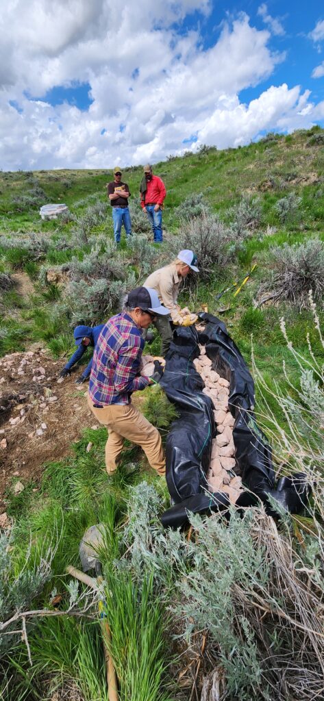 Rock-core wicker weir used below a log and fabric structure as grade control